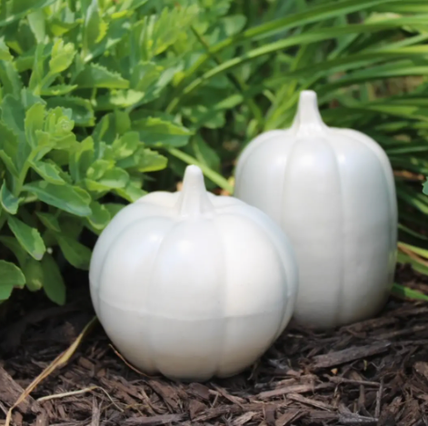 Glazed Pumpkins - Drift White
