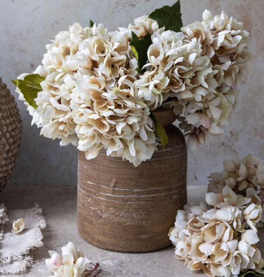 Hydrangea Morning Mist Stem