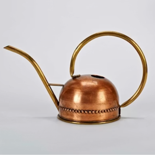 Dome Watering Can