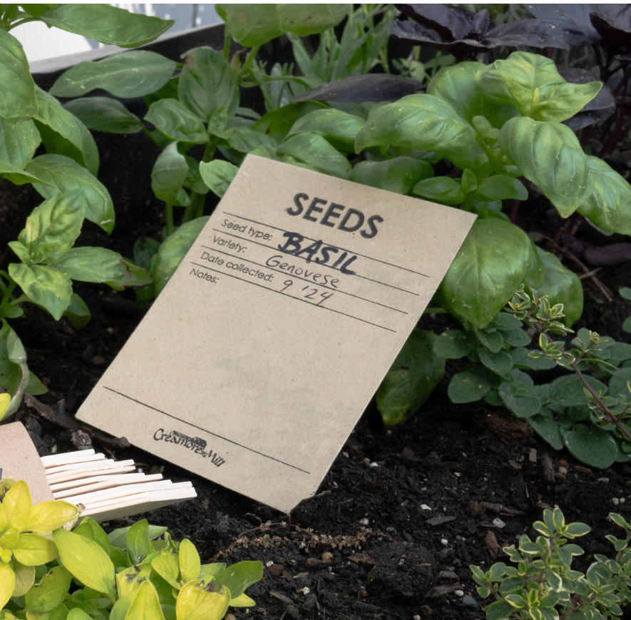 Seed Envelopes - pk 20