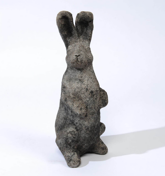 Aged Large Papa Rabbit