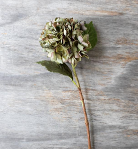 Artificial Hydrangea Chloris Stem