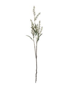 Artificial Myrtle