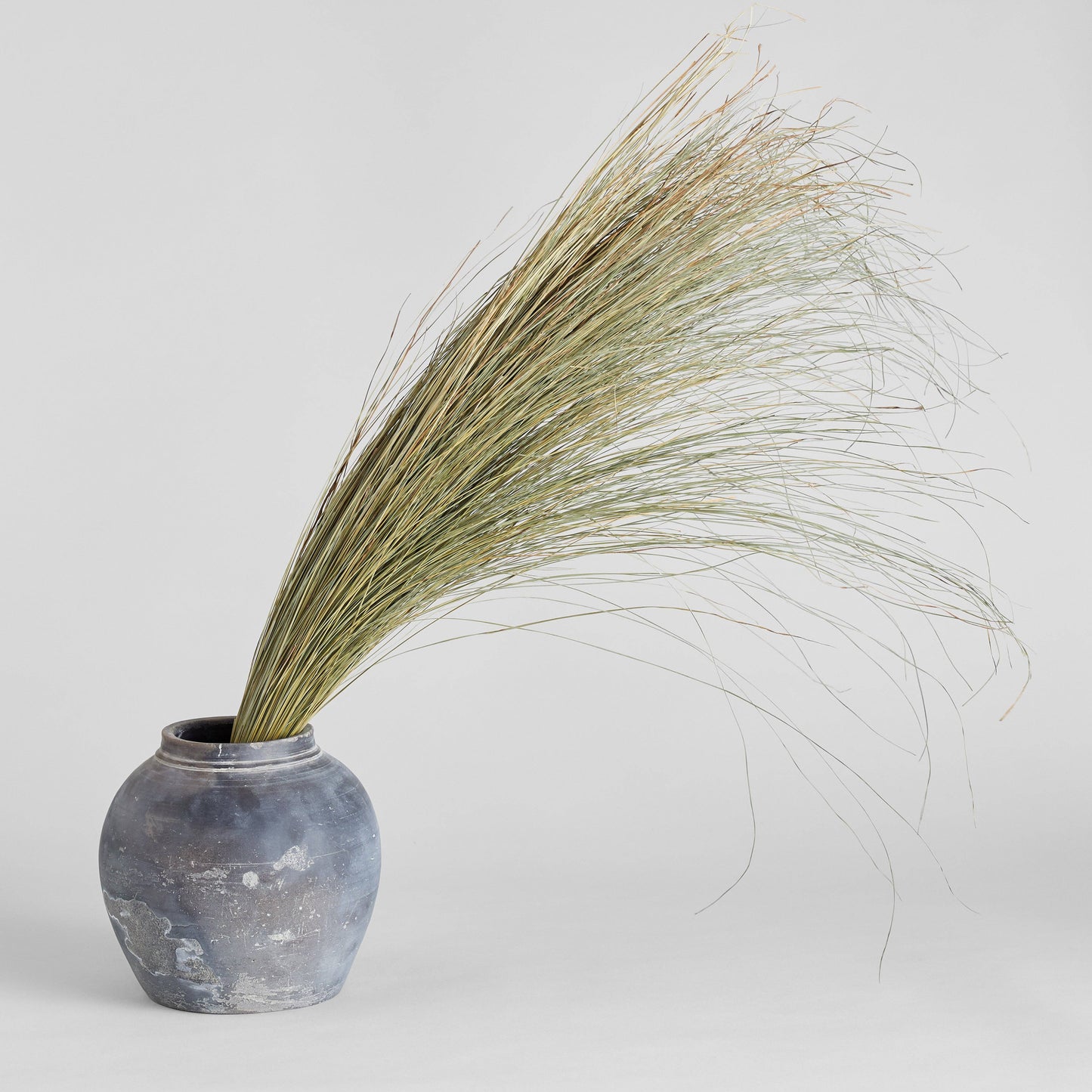 Natural Dune Grass
