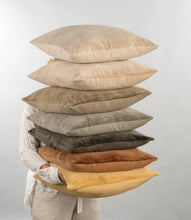 Load image into Gallery viewer, Vera Velvet Pillow I Bisque
