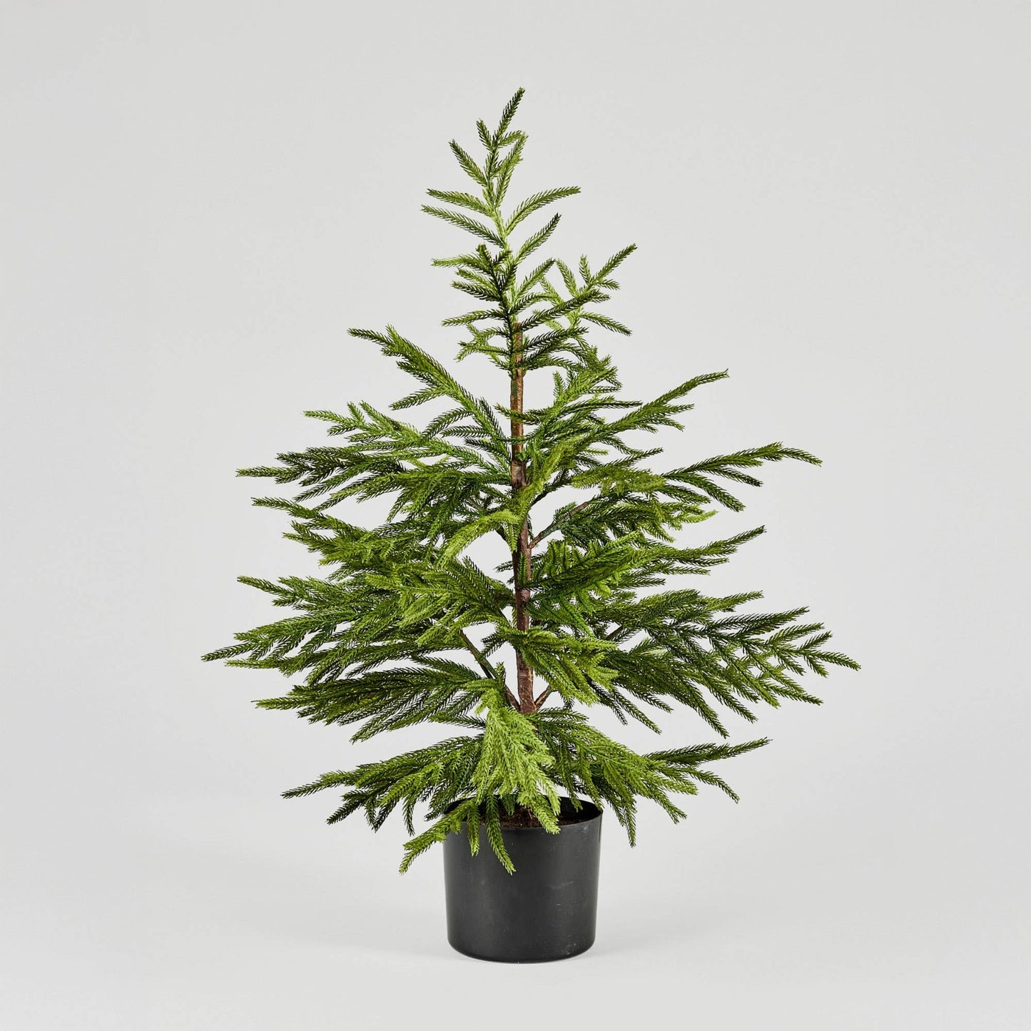 Artificial Norfolk Pine Tree - 36"