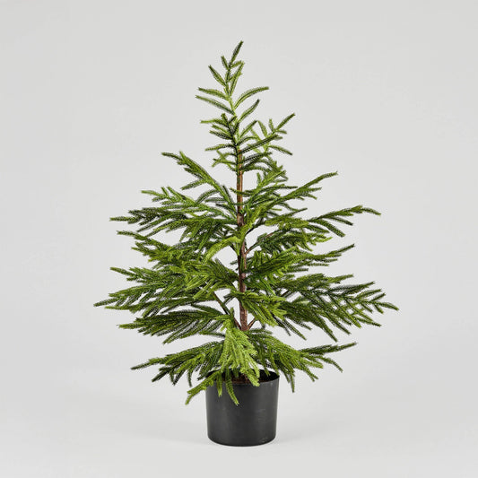 Artificial Norfolk Pine Tree - 36"