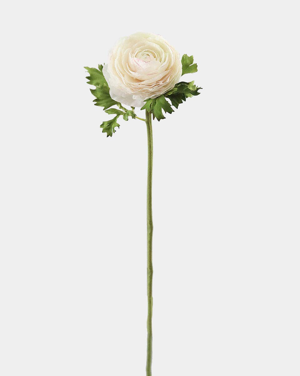 Cream Silk Ranunculus 21”
