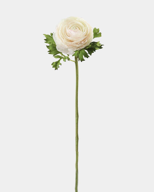 Cream Silk Ranunculus 21”
