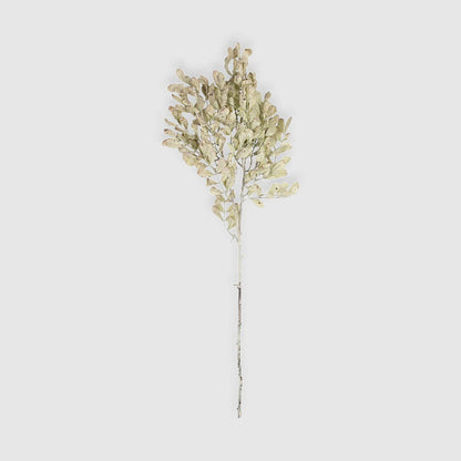 Eucalyptus Cream Stem