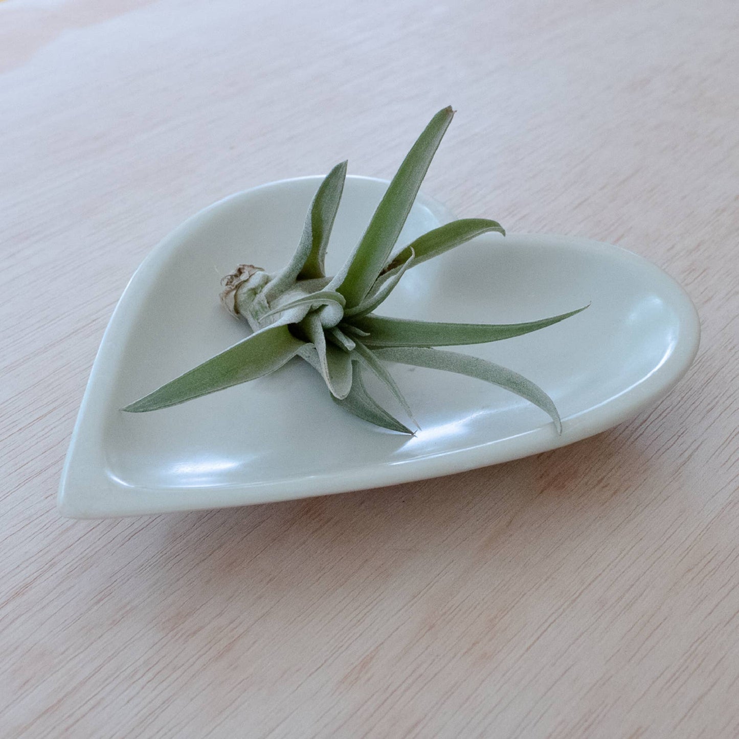 Large Heart Dish - Natural