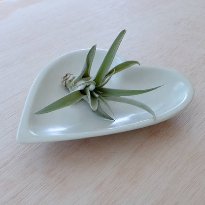 Large Heart Dish - Natural