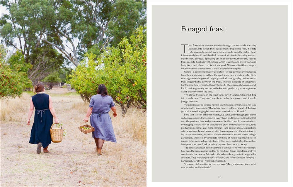 The Foraged Home