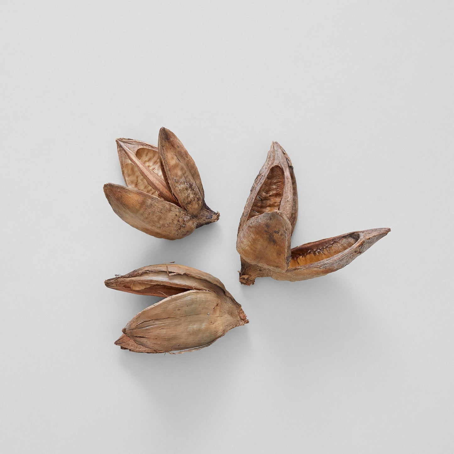 Natural Sora Pods