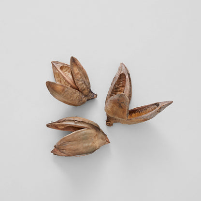 Natural Sora Pods