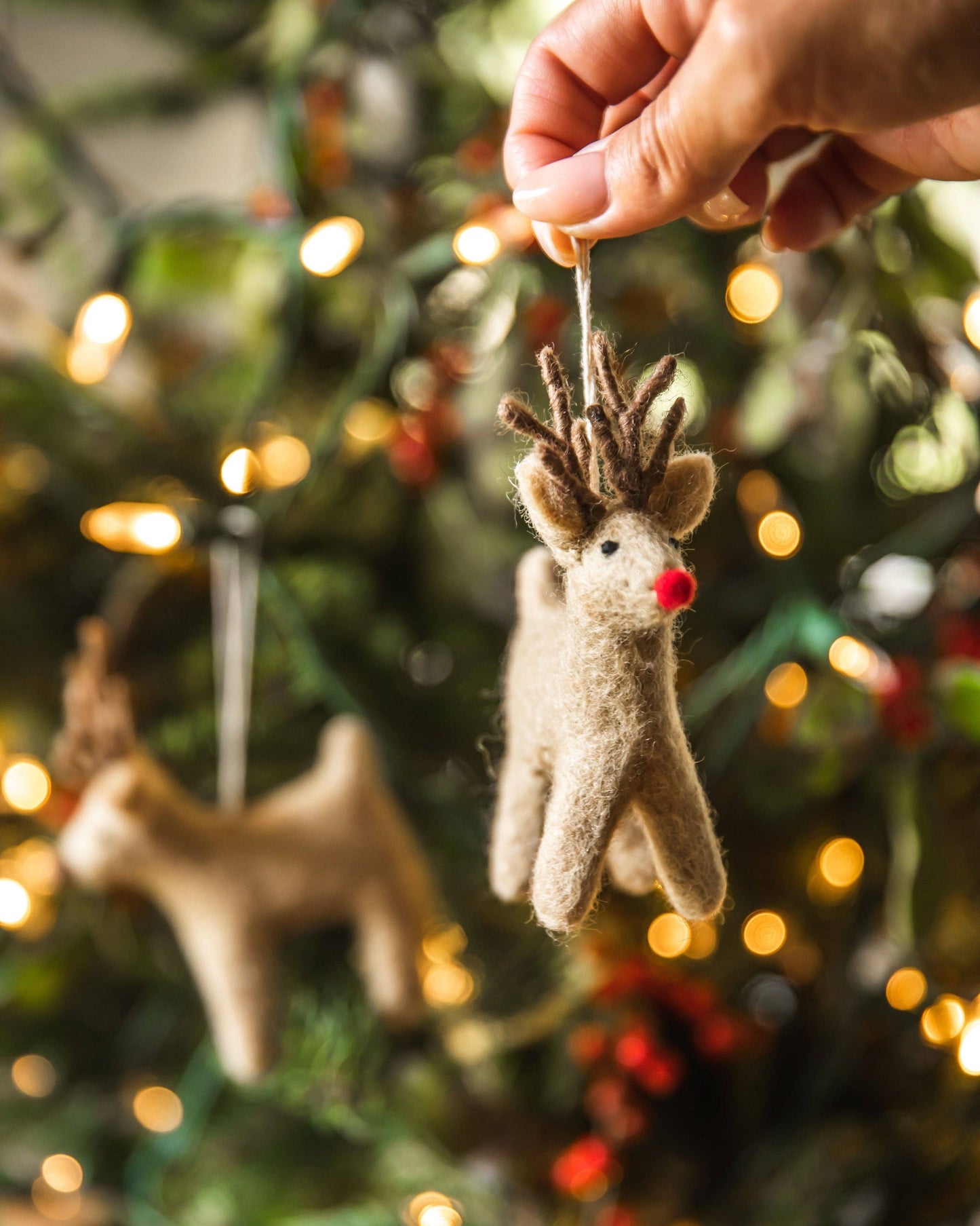 Dash Away Reindeer Ornament: Rudolph