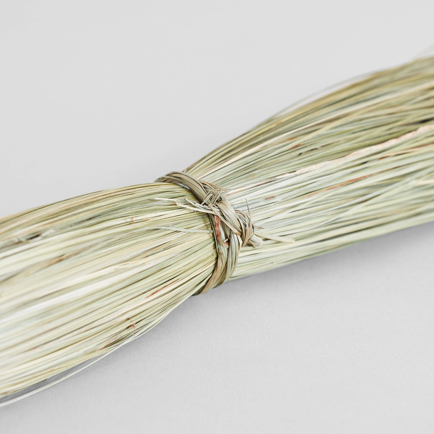 Natural Dune Grass