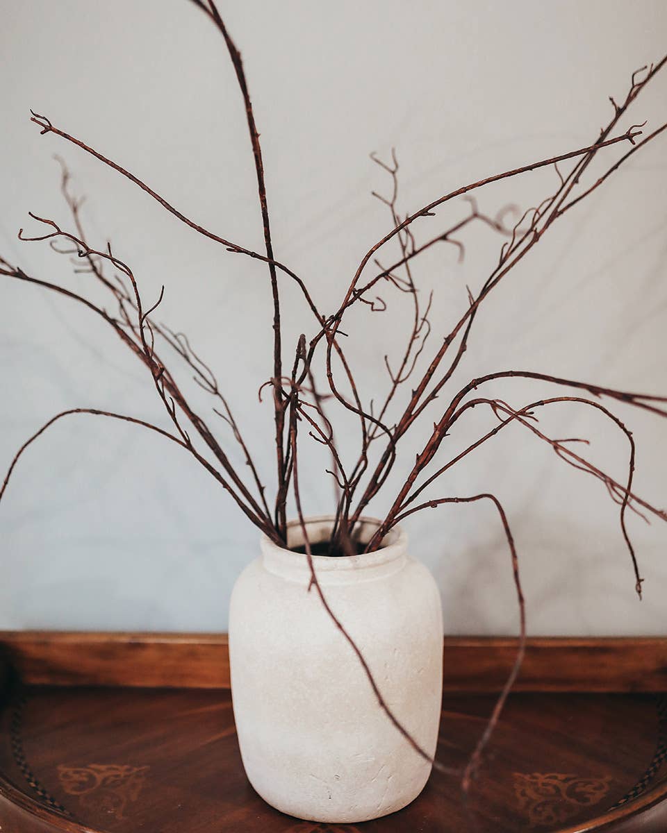 Twisted Willow Branch 44"