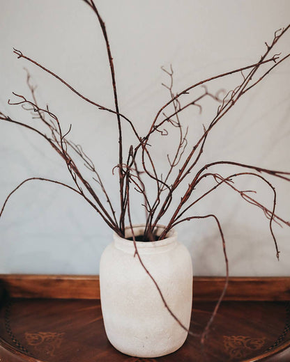 Twisted Willow Branch 44"