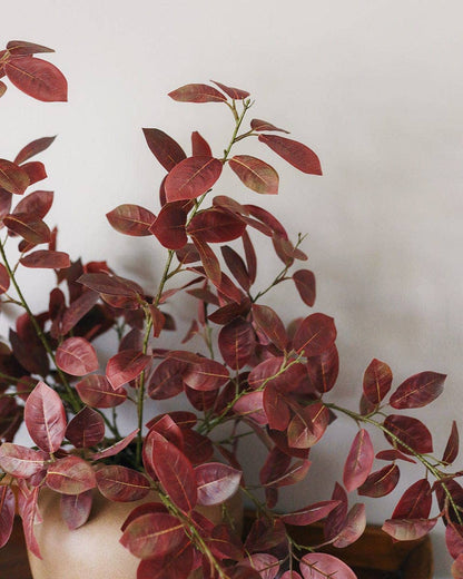 Burgundy Smoketree Foliage 41"