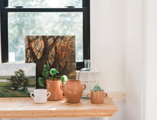 Load image into Gallery viewer, Olive Jar Planter

