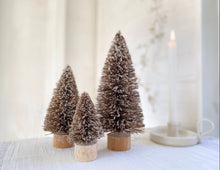 Load image into Gallery viewer, Bottle Brush Trees
