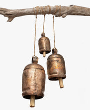 Load image into Gallery viewer, Desert Bells
