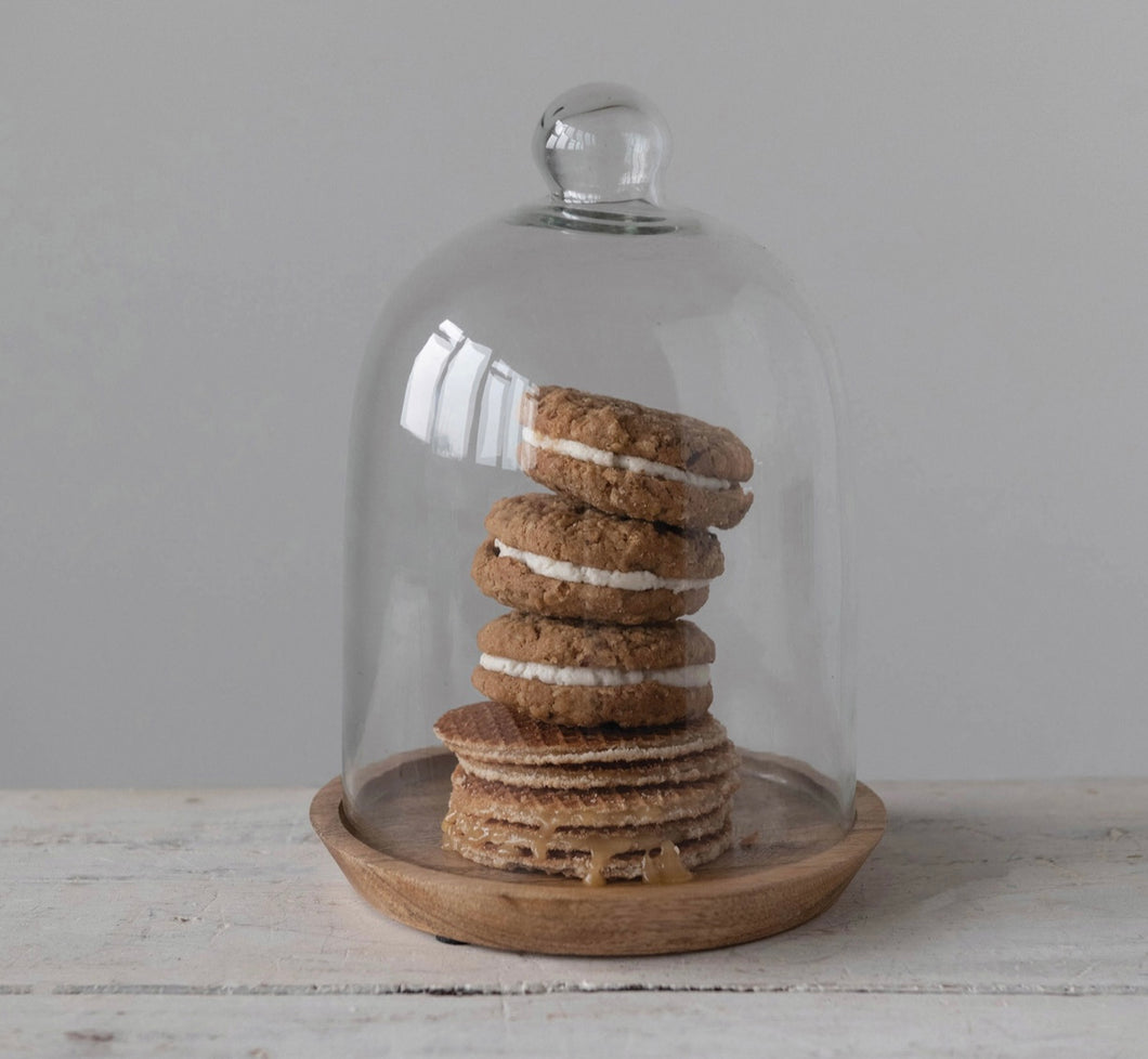 Glass Cloche with Mango Wood Base