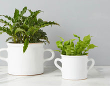 Load image into Gallery viewer, Olive Jar Planter
