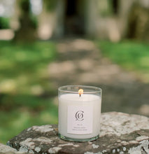 Load image into Gallery viewer, Spanish Moss Soy Candle
