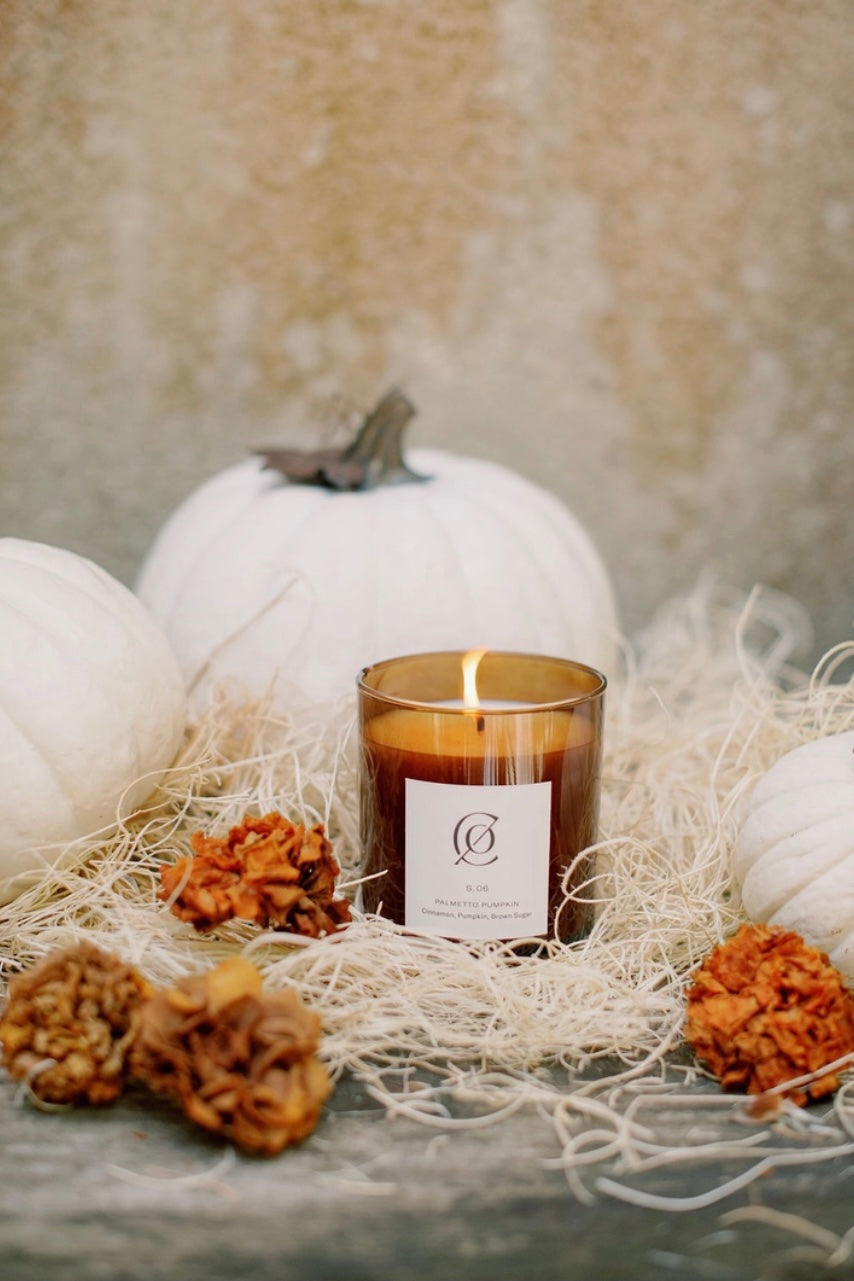 Palmetto Pumpkin Soy Candle